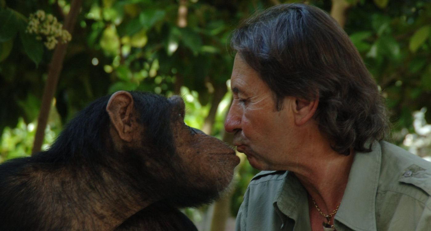 Juan Luis Malpartida y un chimpancé, frente a frente, a punto de darse un beso
