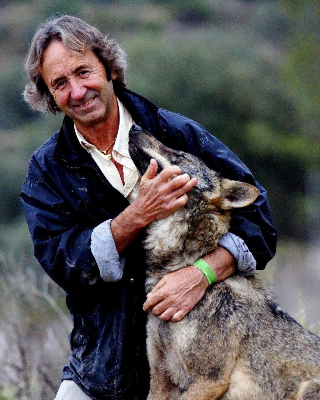 Juan Luis Malpartida, con chaqueta azul, abraza a un lobo ibérico en el campo