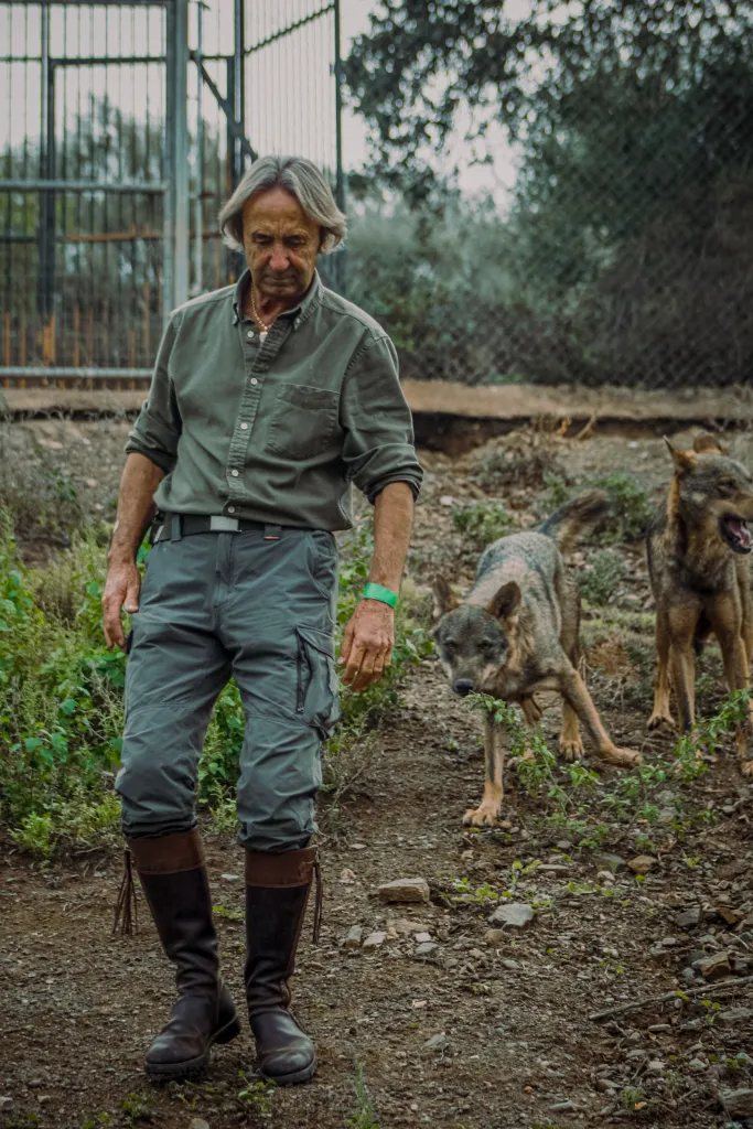 Juan Luis Malpartida camina junto a dos lobos ibéricos en MundoPark