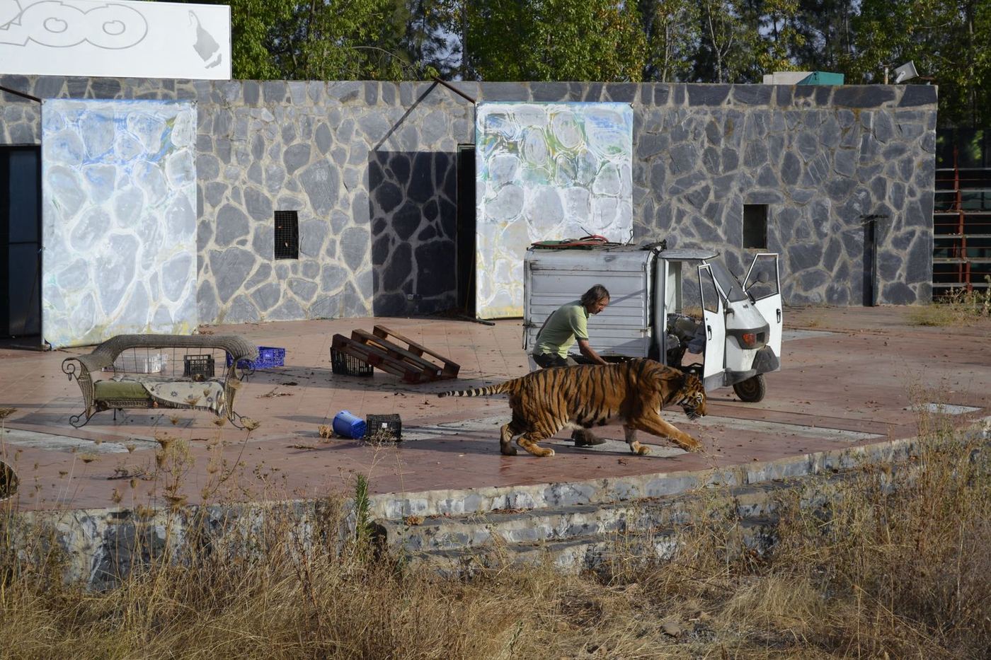 Un tigre camina por el decorado exterior del videoclip mientras el equipo lo acompaña