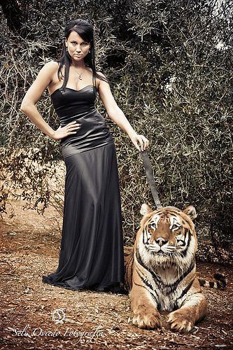 Una modelo con vestido negro junto a un tigre tumbado