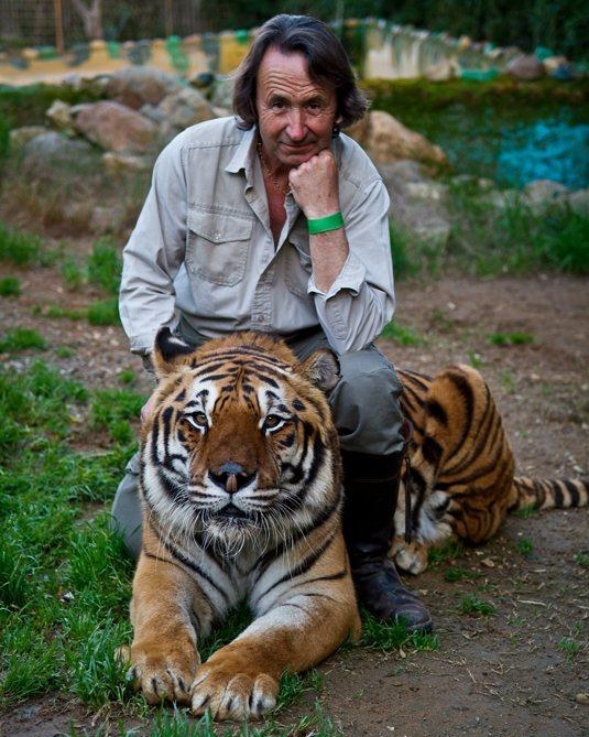 El tigre Cencerro, tumbado en la hierba, con Juan Luis Malpartida agachado detrás de él